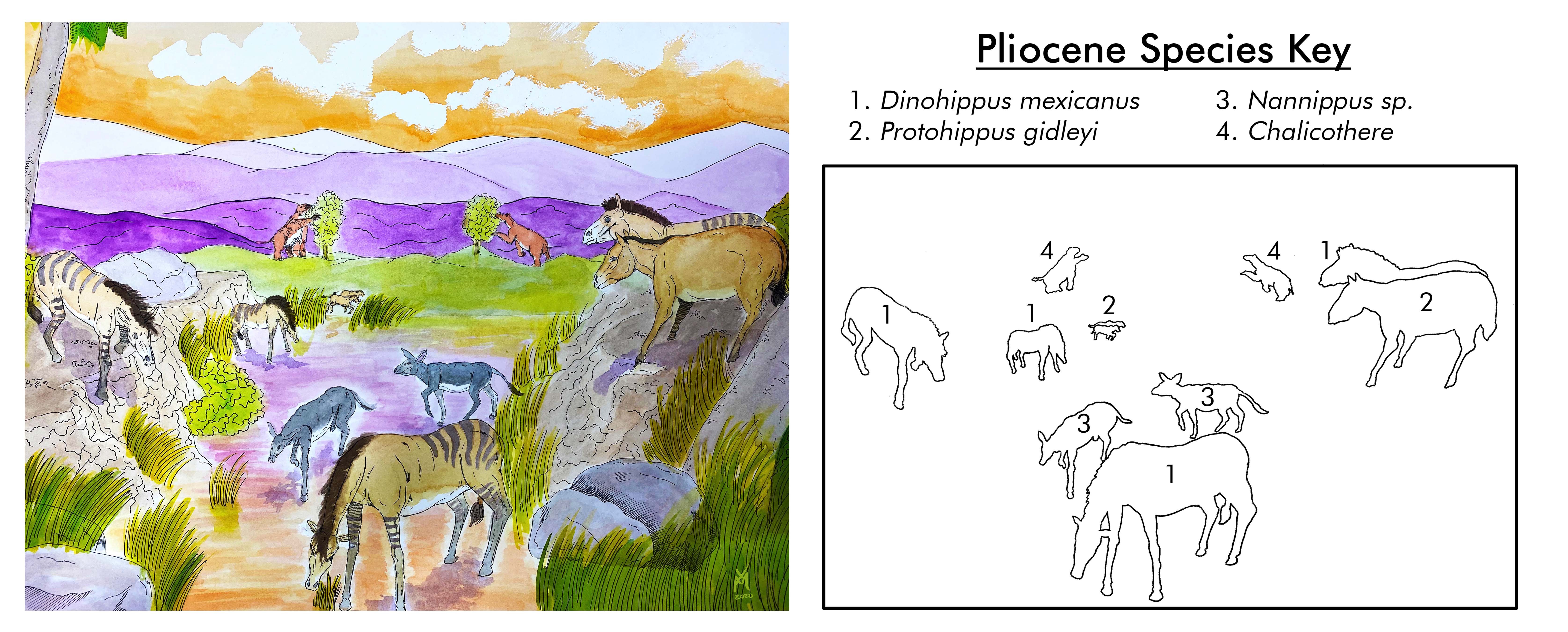 Pliocene Key