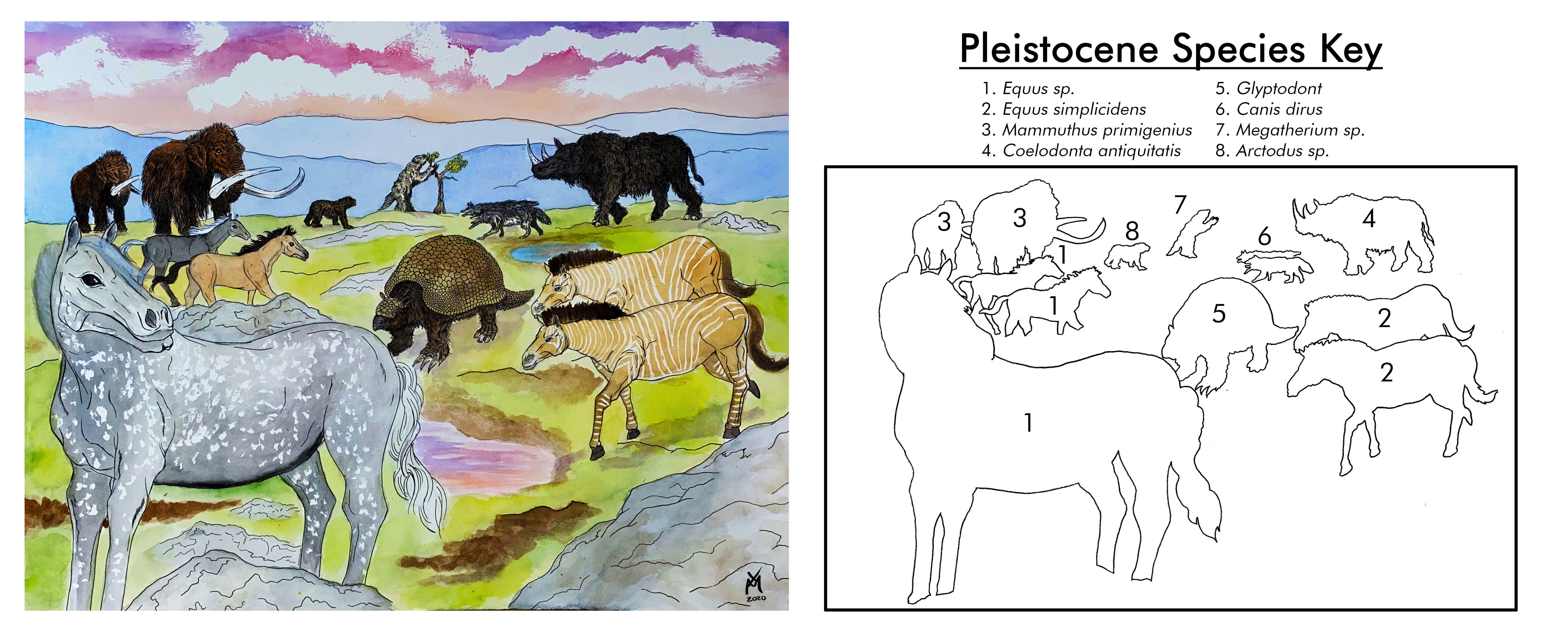 Pleistocene Key