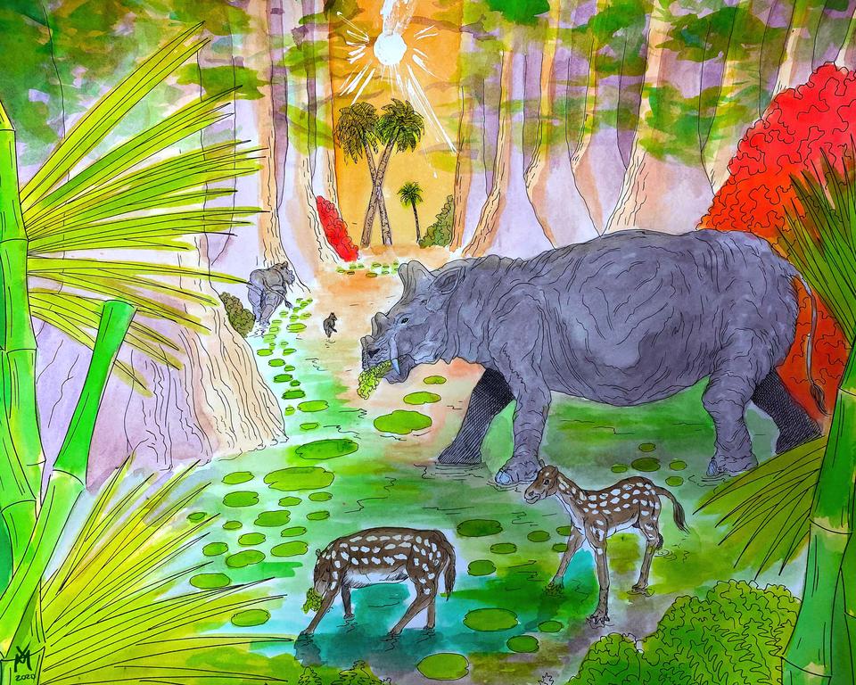 Eocene Flora (55.8-33.9 MYA)