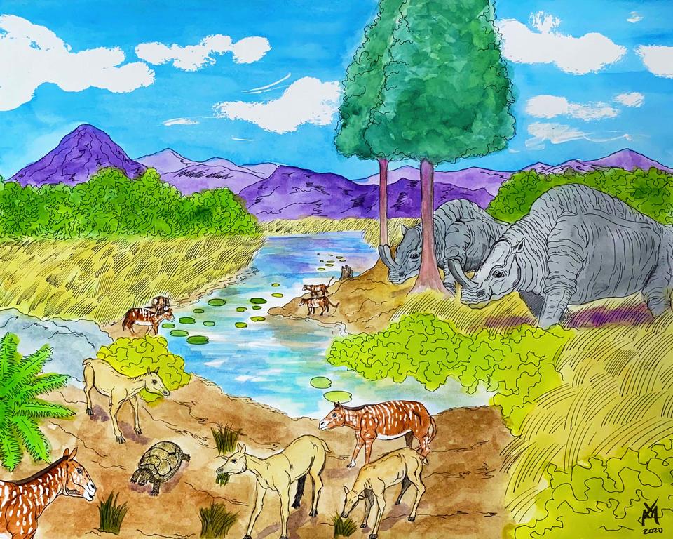Oligocene Flora (33.9 - 23 Ma)