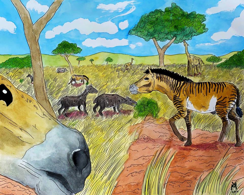 Miocene Flora (23 - 5.3 MYA)