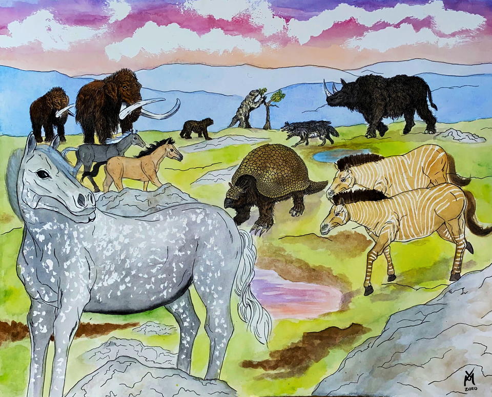 drawing of pleistocene horses