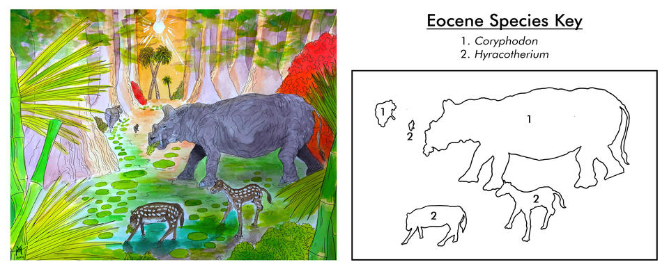 Eocene Fauna (55.8-33.9 MYA)