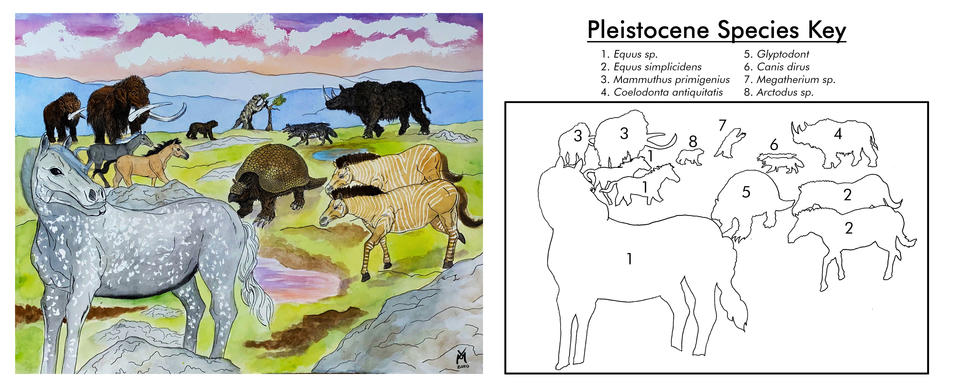 Pleistocene Fauna (2.6 MYA-10,000 YA)